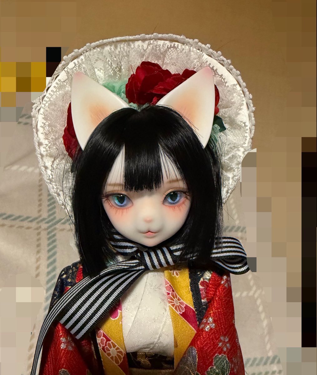 🐈こっき🦊 tweet media