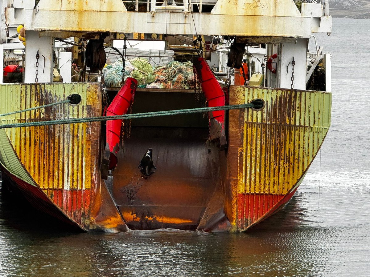 Falklands FishOps tweet media