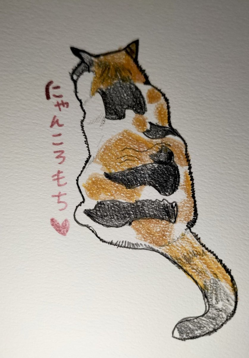 にゃんころもち (@sakura_nyancolo) / Posts / X