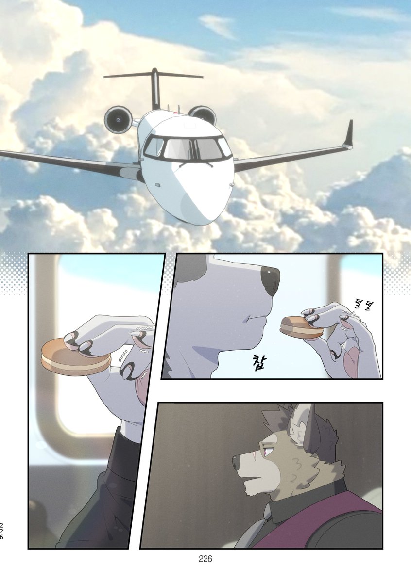 나구리 (Raccoon21) tweet media