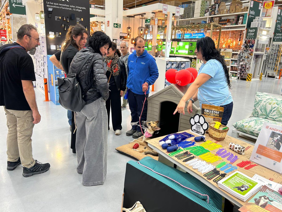 Leganes_MAmb's tweet photo. 🐾La jornada de adopción responsable organizada en BAUHAUS Leganés en colaboración con la Delegación de Medio Ambiente,ha sido un éxito.👏🏻
Gracias a los os habéis acercado ,y a los trabajadores del centro de Protección Animal del Ayuntamiento de Leganés por  colaborar.🐶🐱 https://t.co/Wu6yk1mNEx