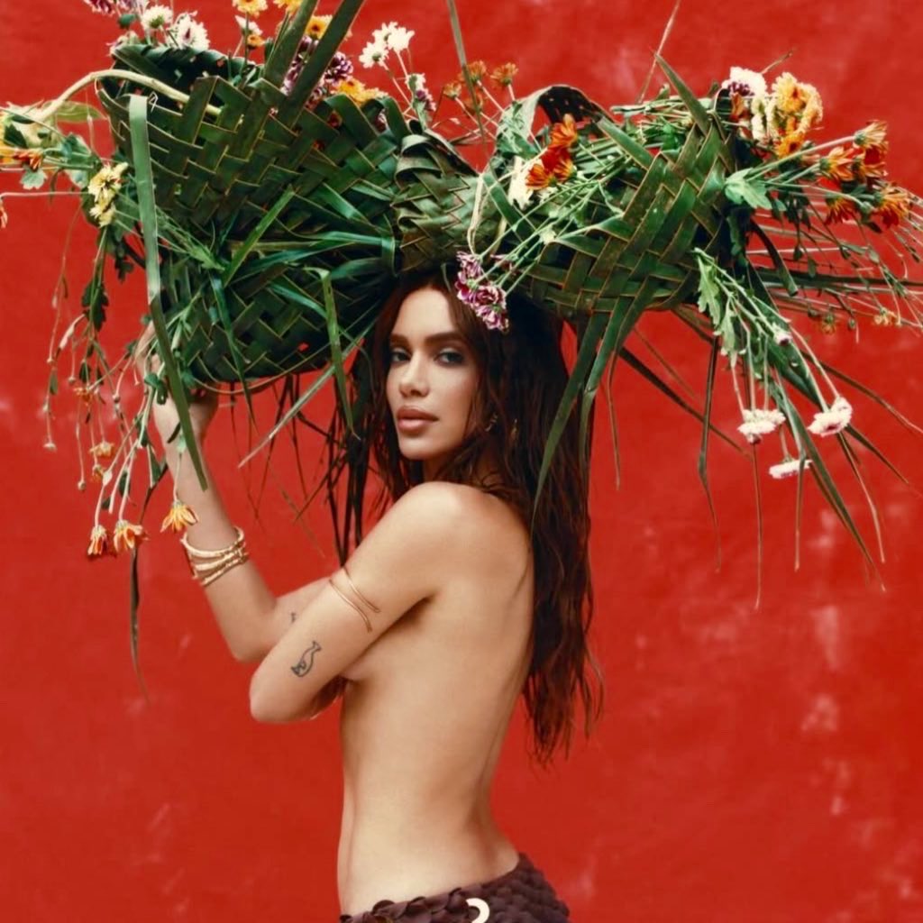 Demi Lovato Charts tweet media