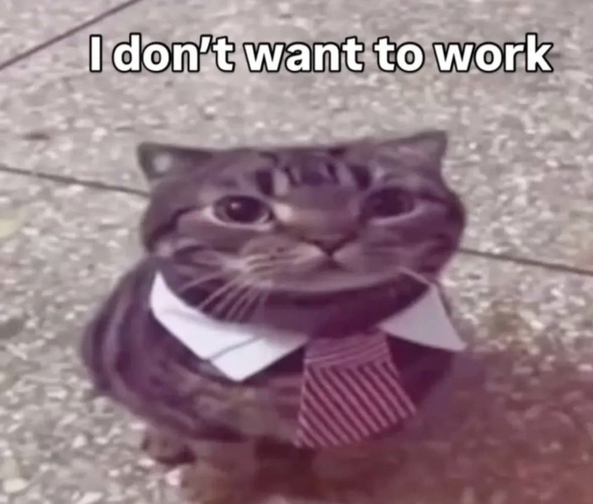 LiterallyMeCats tweet media