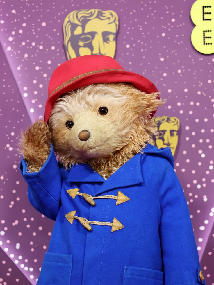 daily paddington tweet media