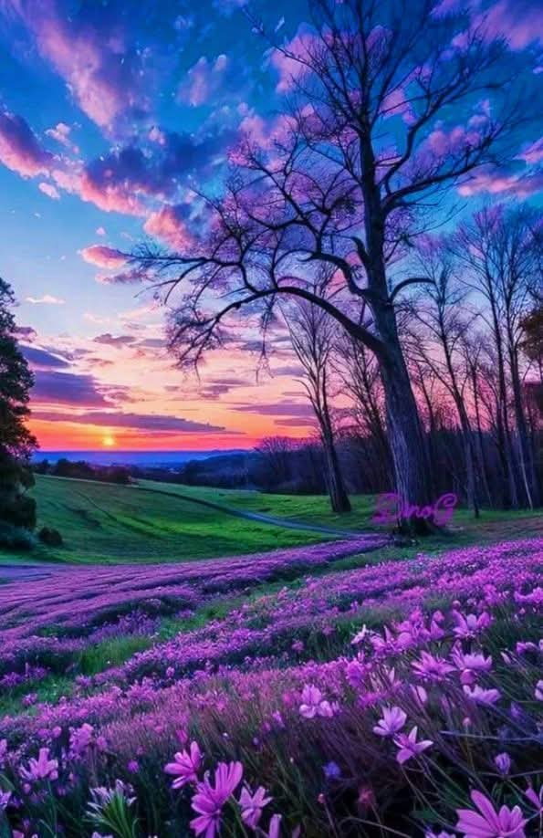 Fantastic nature 🥰