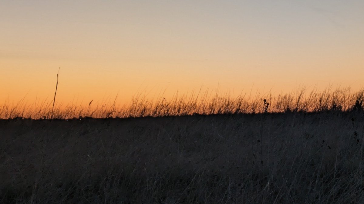 F3_Snidely's tweet photo. 9 Hammers came out to Glacial Creek Preserve for @F3_OSCARMIKE and huffed it out in nature. Great views and better #mumblechatter! @f3omaha

COT: Gratitude for fellowship. https://t.co/d7canJtLE4