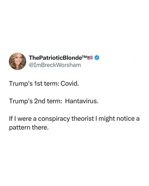 Lady of Liberty tweet media