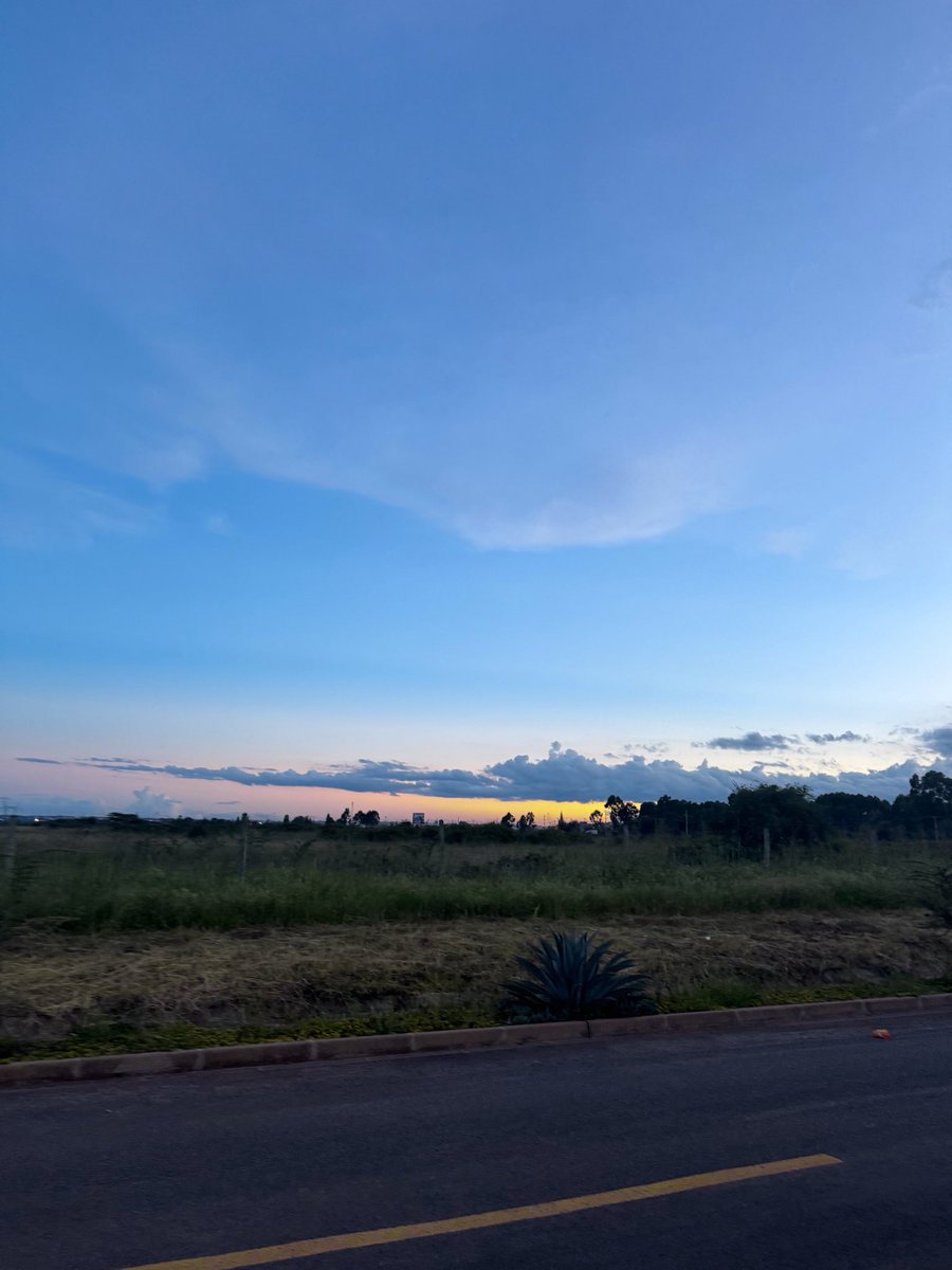 Kaluluu's tweet photo. Golden Hour https://t.co/UjMEhA9Hf7