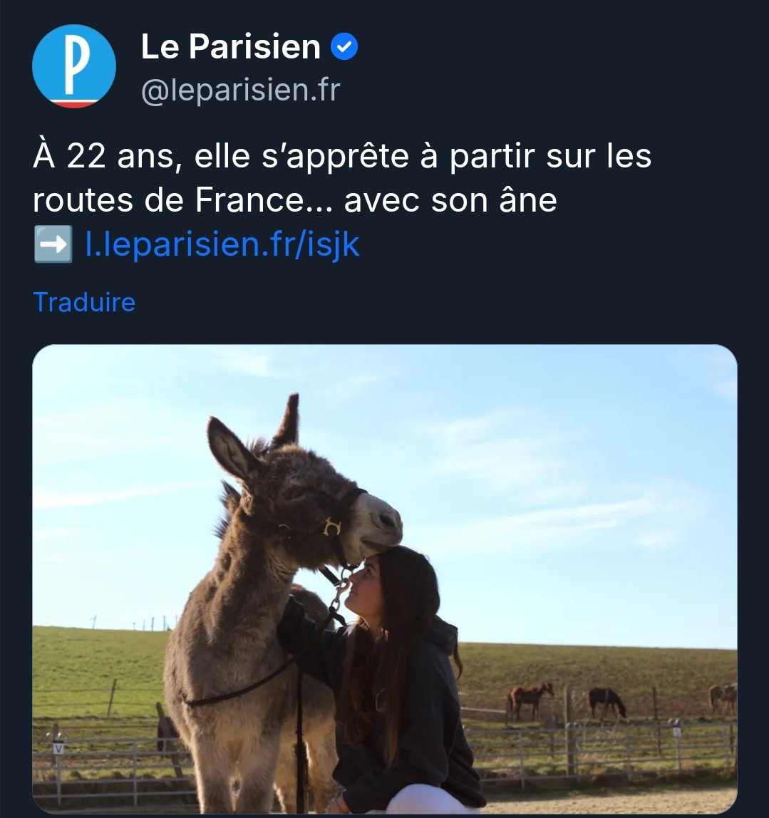 Vilain Syndicaliste tweet media