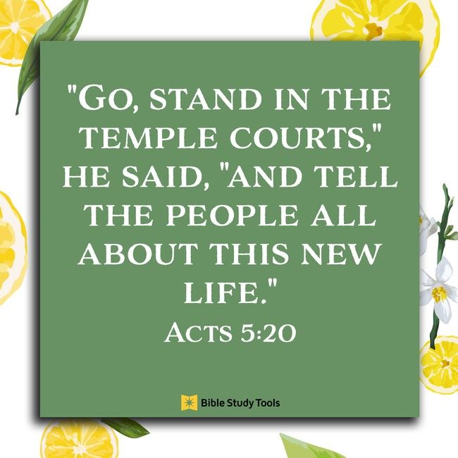 LMCCbridgmanMI's tweet photo. Living a Life of Miracles.
Living in Unconditional Obedience to God.
Living Life with Evangelistic Eyes.
Living for the Highest Things.
TOMORROW!! May 10th, 2026 @ 10 am "Living for the Highest Things" by our Senior Pastor Erik Gustafson @man4praize https://t.co/P9cpx8mHbq