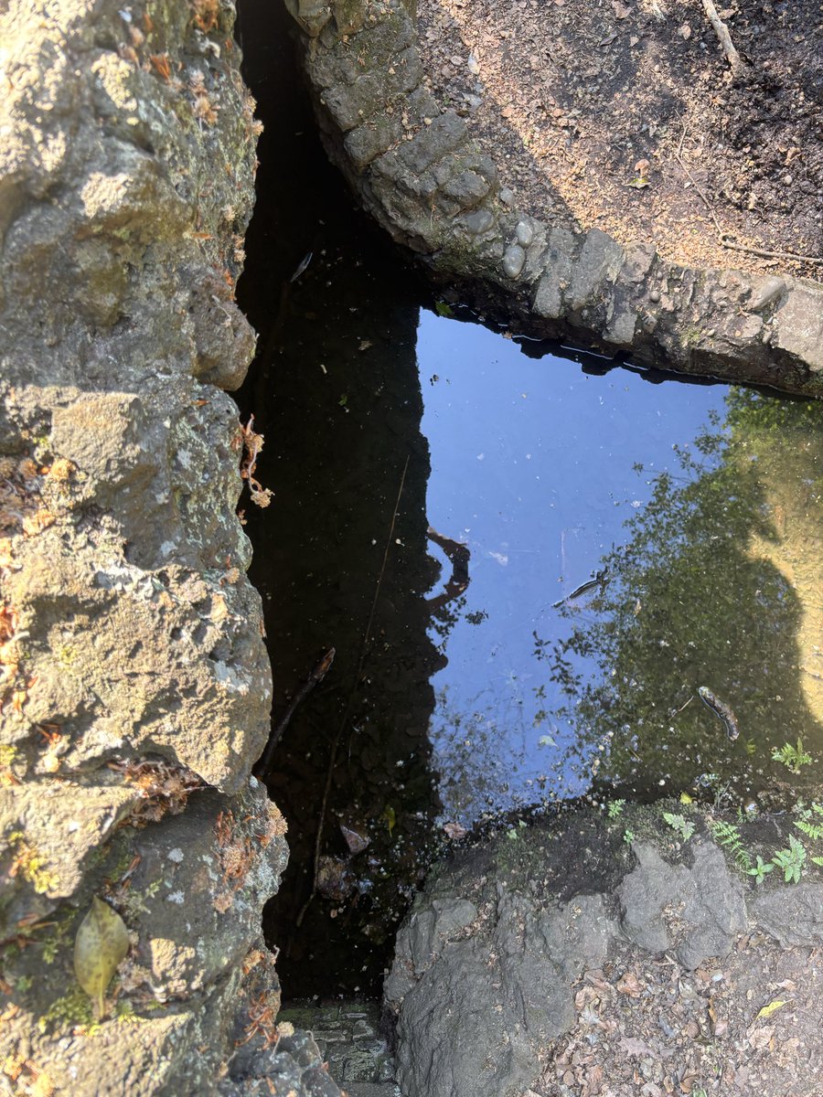 DrBenSpencer's tweet photo. So many underground and hidden treasures across Surrey - What’s your favourite this #surreyday 2026? @SurreyDayUK https://t.co/bxaLQU8j5o