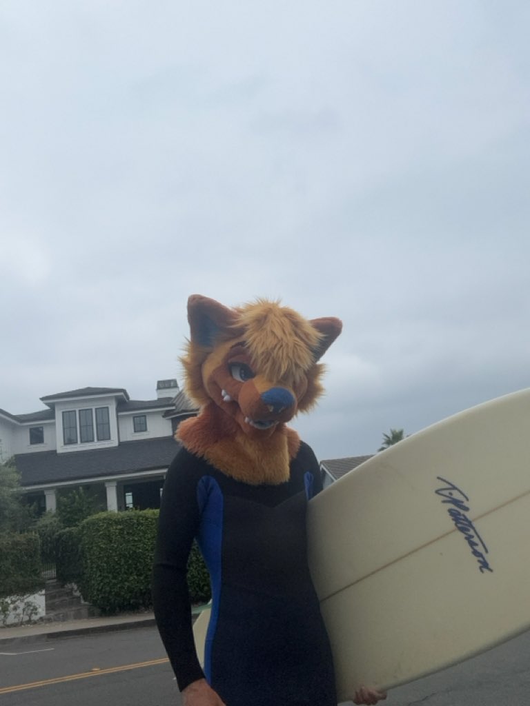 Alex_The_Husky tweet media