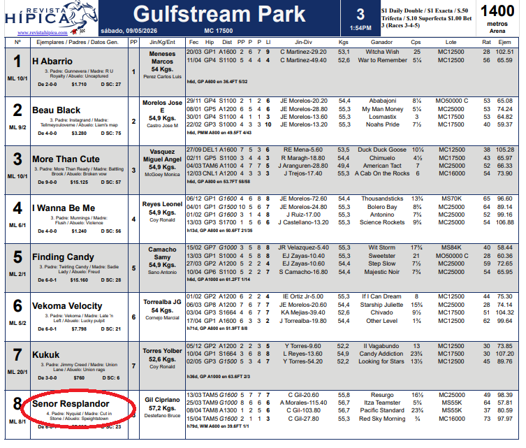 RebelionHipica's tweet photo. Sabado 9 de Mayo  #GulfStreamPark 🏇

3)#8 Senor Resplandor (Longshot ML 8-1)  
6)#3 Celtic Dispute (Regalo de las madres)  

A Ligar y Ganar!!!     

Unete a Nuestro Grupo https://t.co/kdnooOjGDn https://t.co/ZfrrggijEA