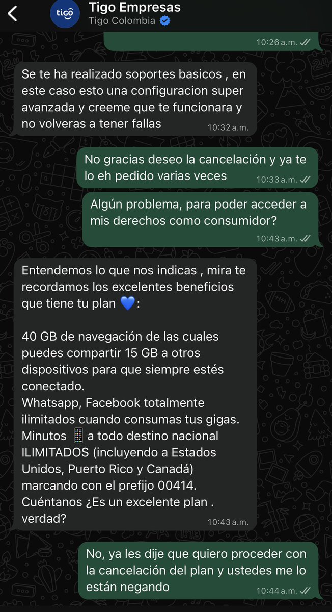 Luis Castañeda tweet media