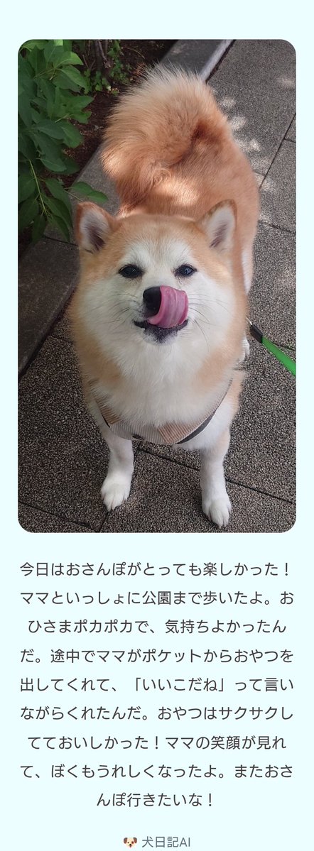 柴犬ししまる (@sisi3po) / Posts / X