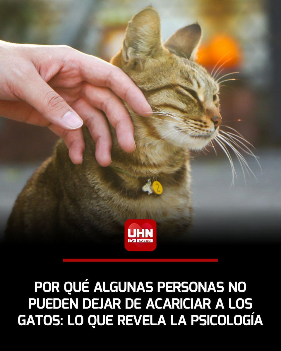 UHN Plus — Salud tweet media