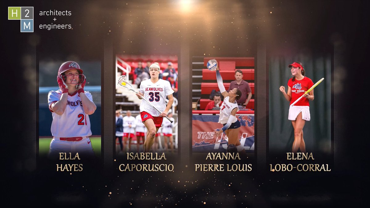 Stony Brook Athletics tweet media