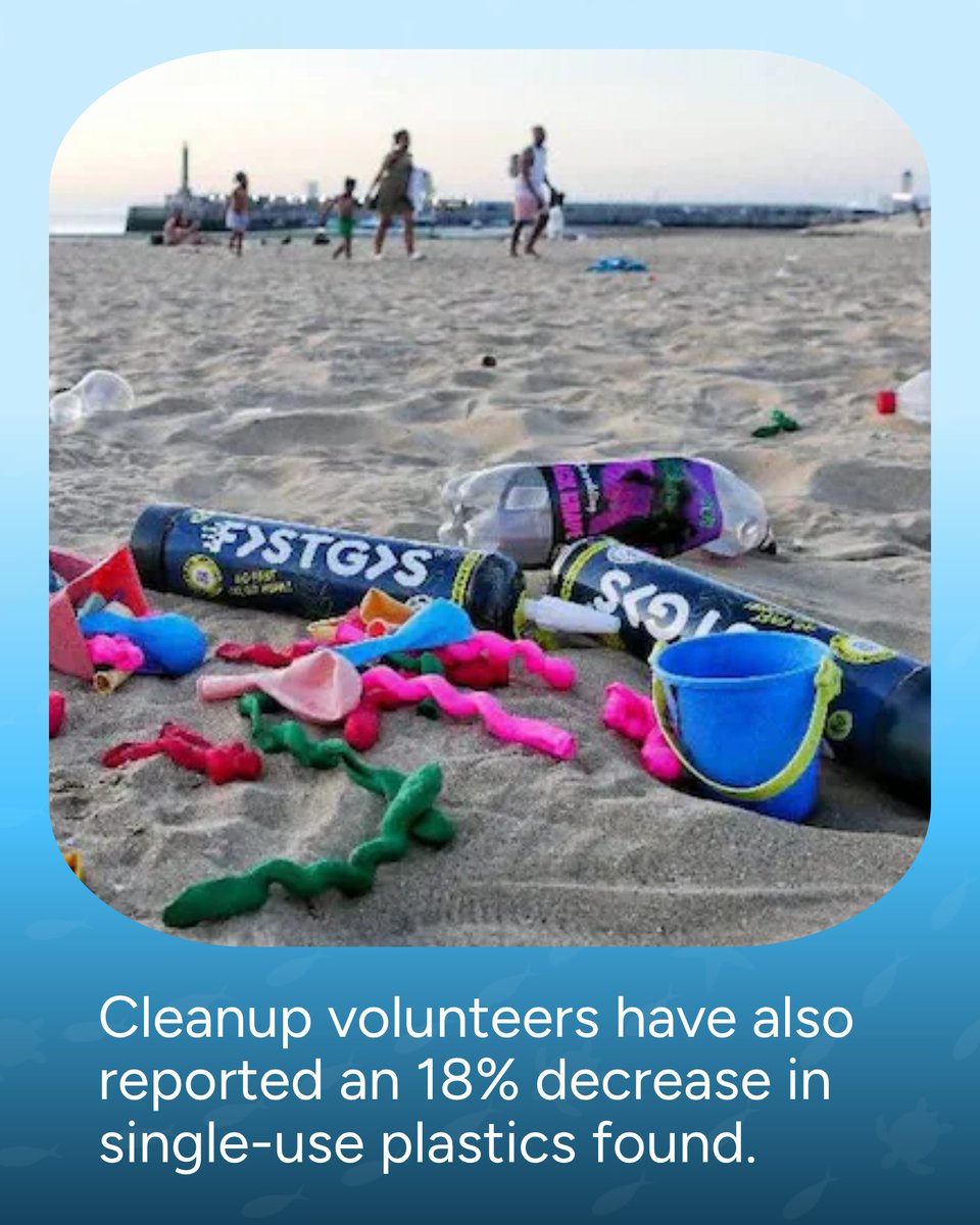 Wave Browser tweet media