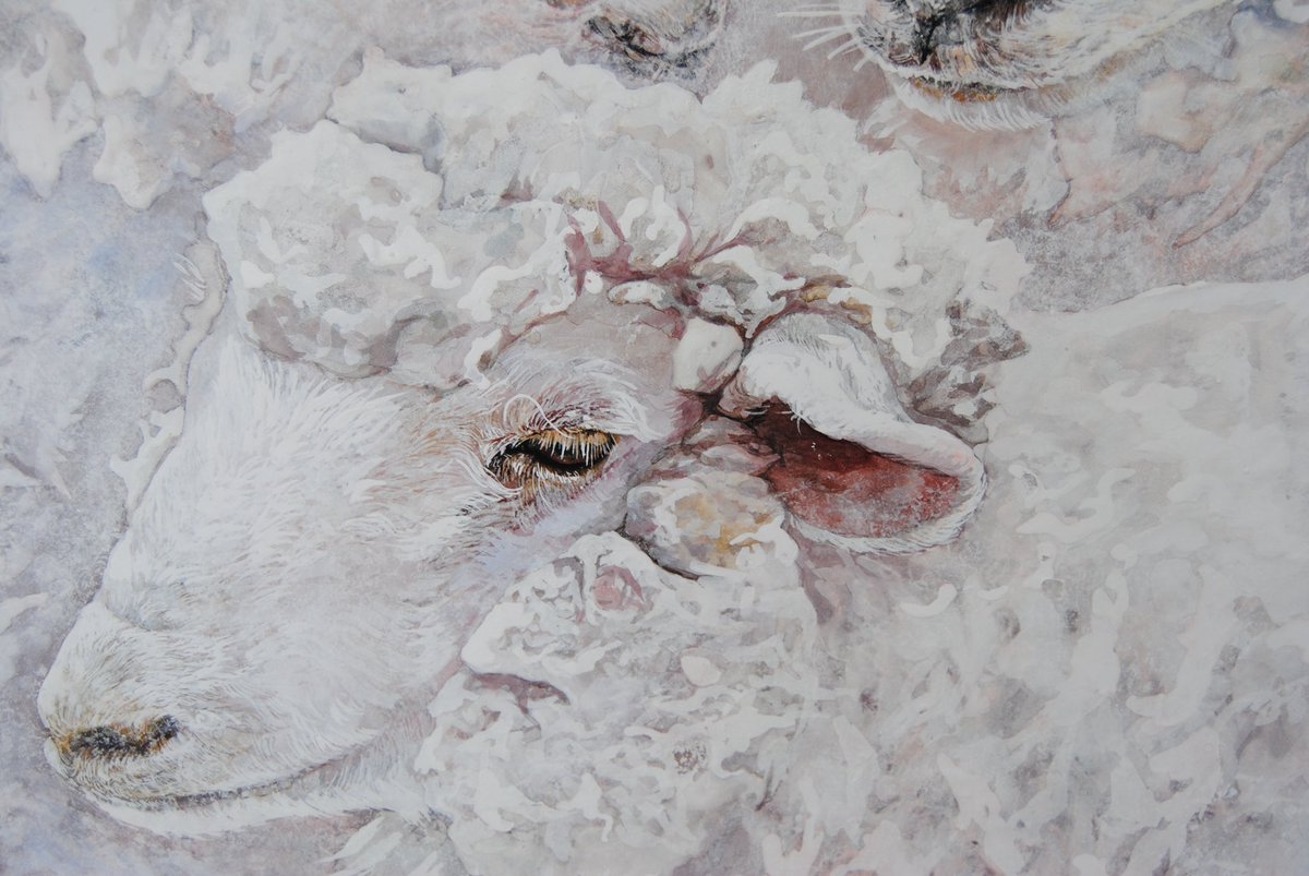 sskm01417's tweet photo. 動物課題
「Crescentia Ment」
910×727  910×727
2つで1つの作品です https://t.co/naAfCLOOLx
