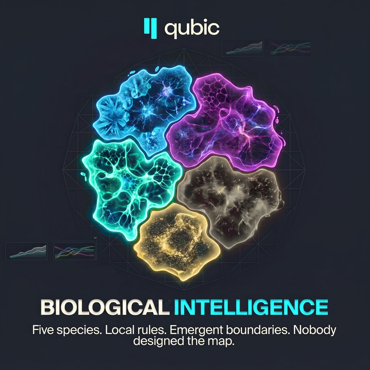 Qubic tweet media