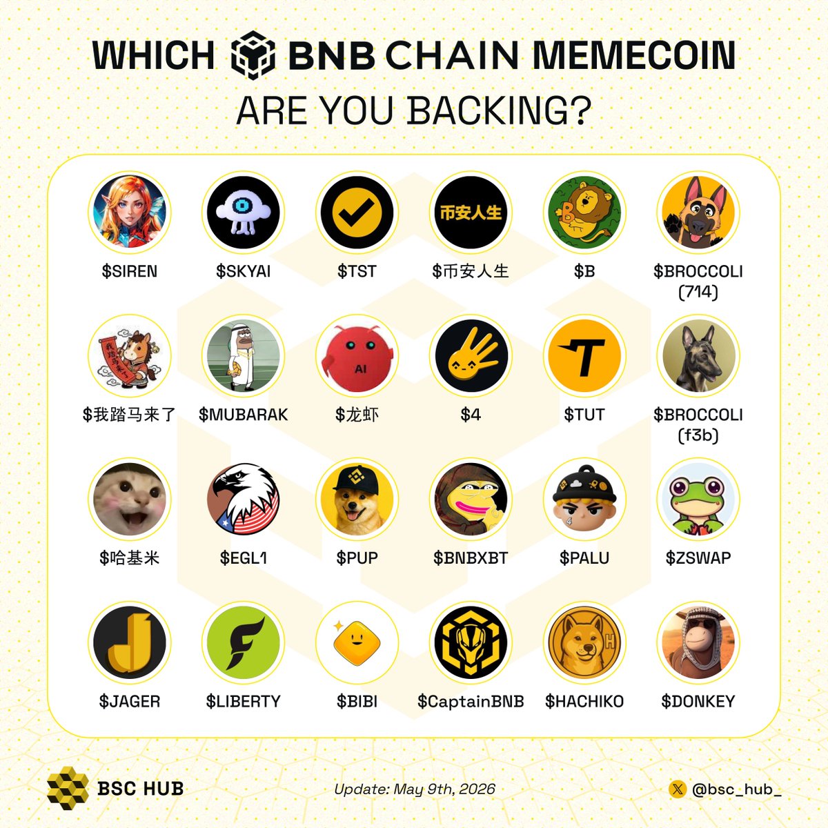BSC Hub tweet media