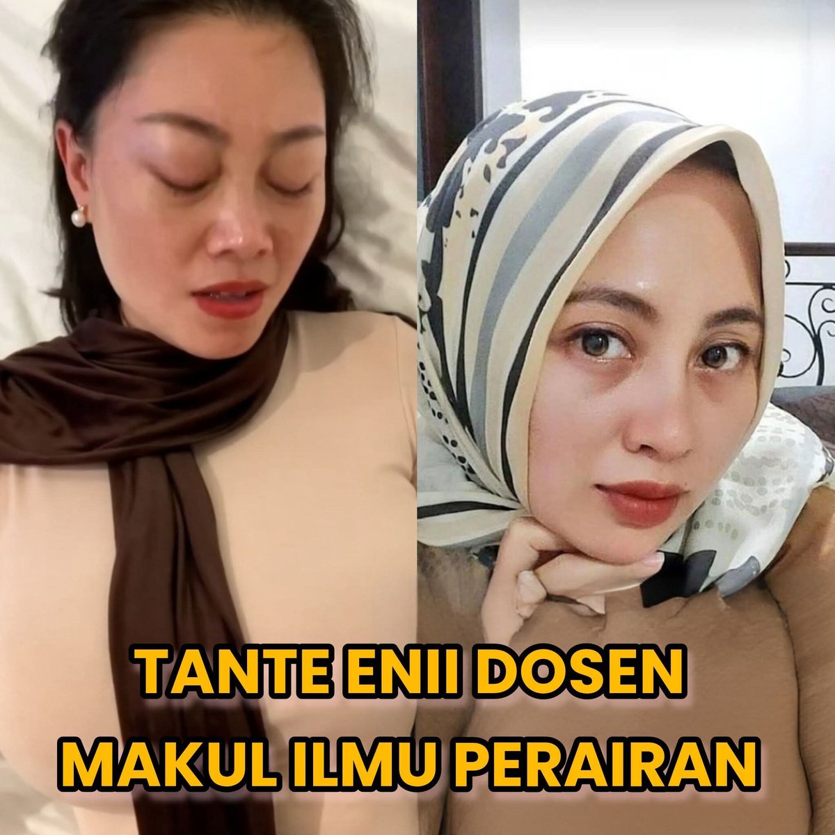 Noēl tweet media