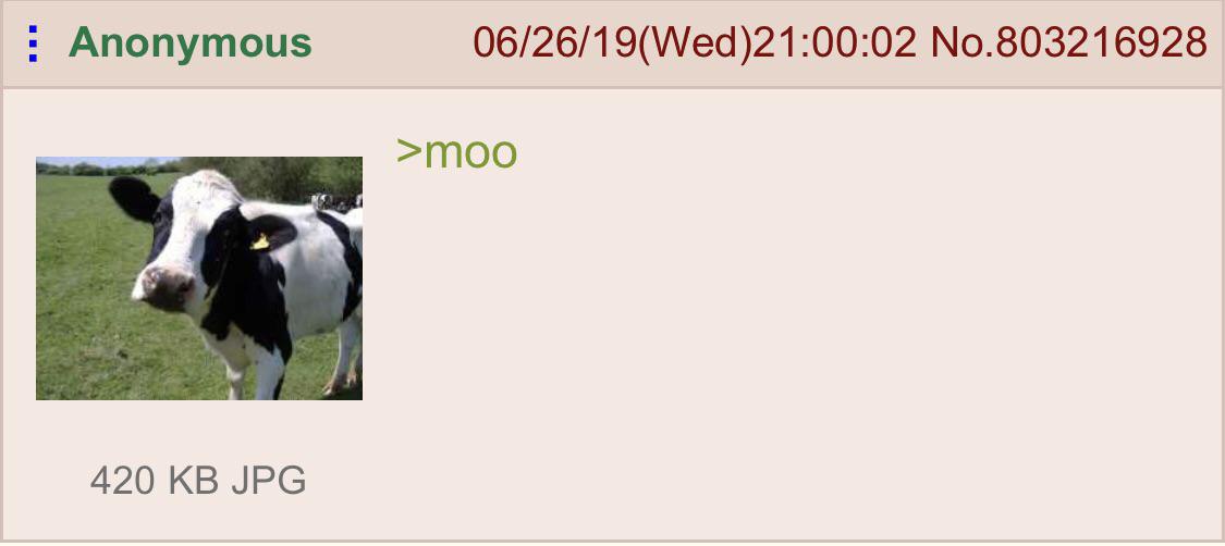 _greentext_'s tweet photo. https://t.co/8izoLj1Wjq