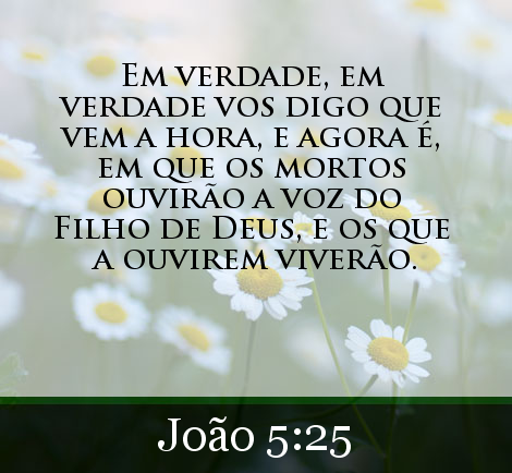 LeitorLSB's tweet photo. Compartilhe a Bíblia. https://t.co/dZjIDfAmNl