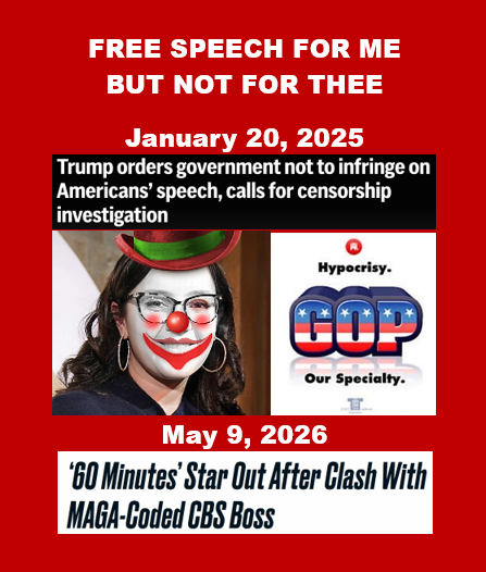 Paul Nelson tweet media