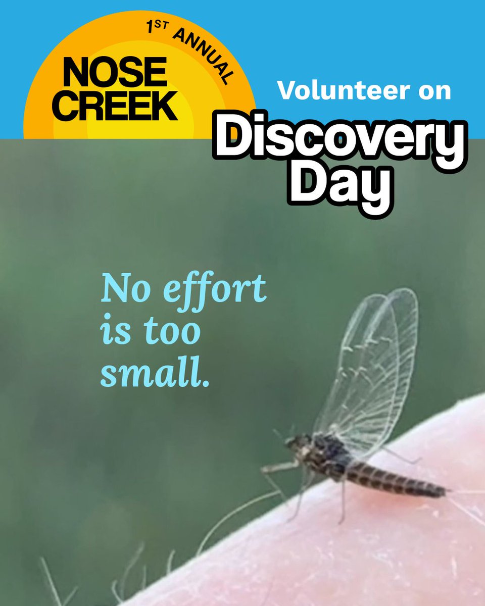 Nose Creek Preservation Society tweet media