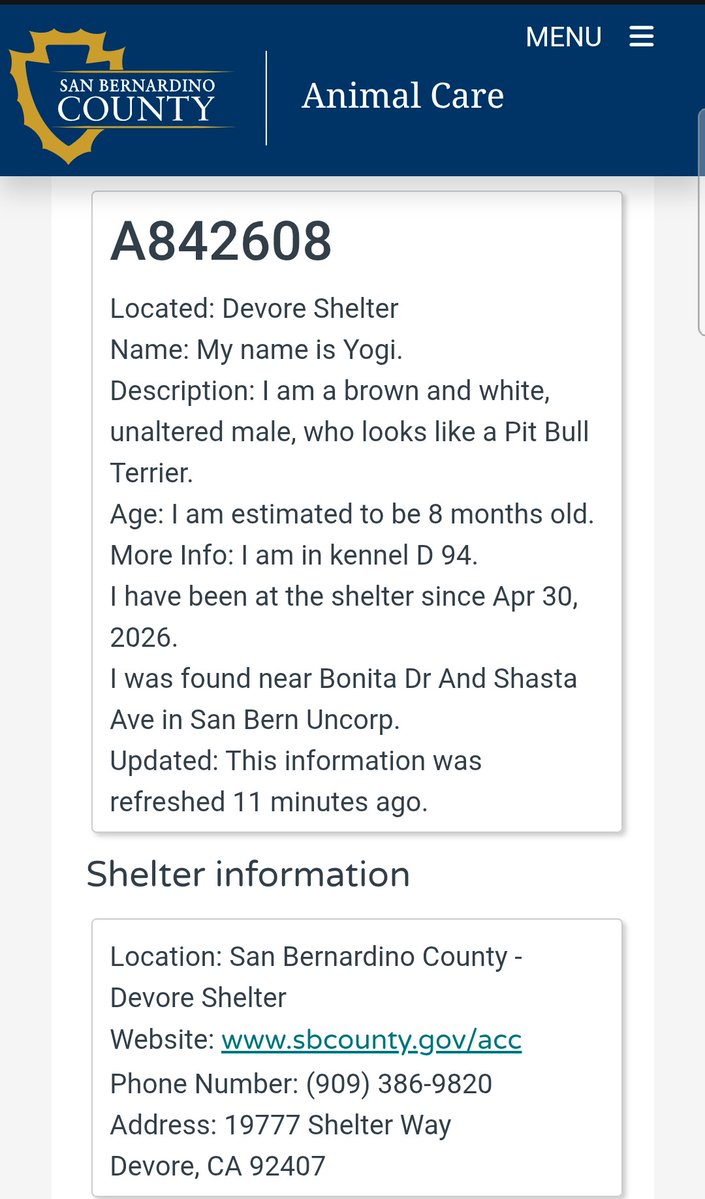 Foster a shelterpet at ZERO COST🐾 tweet media