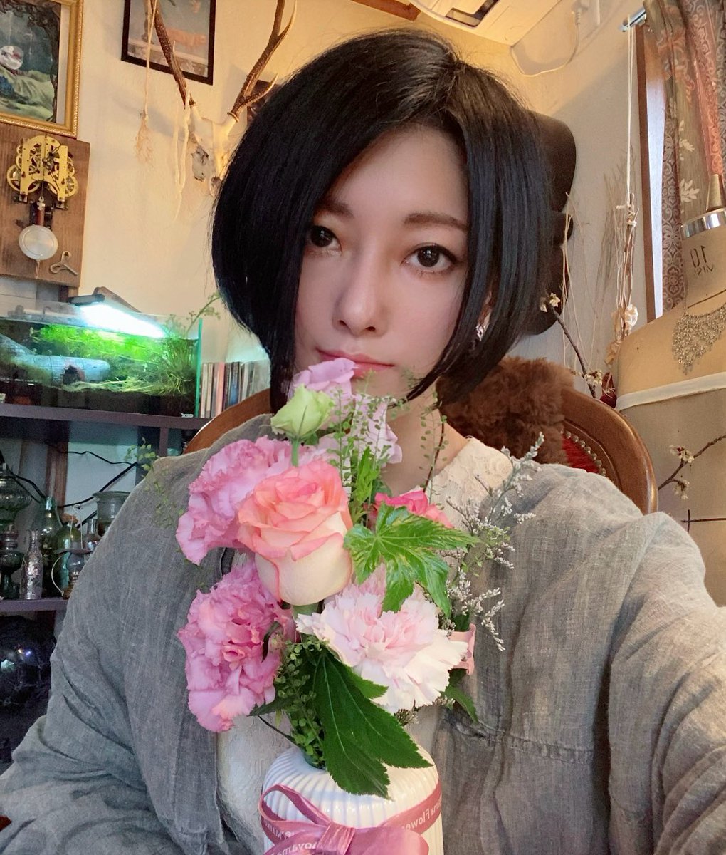 うつせみ標本屋 (@0111Swk) / Posts / X