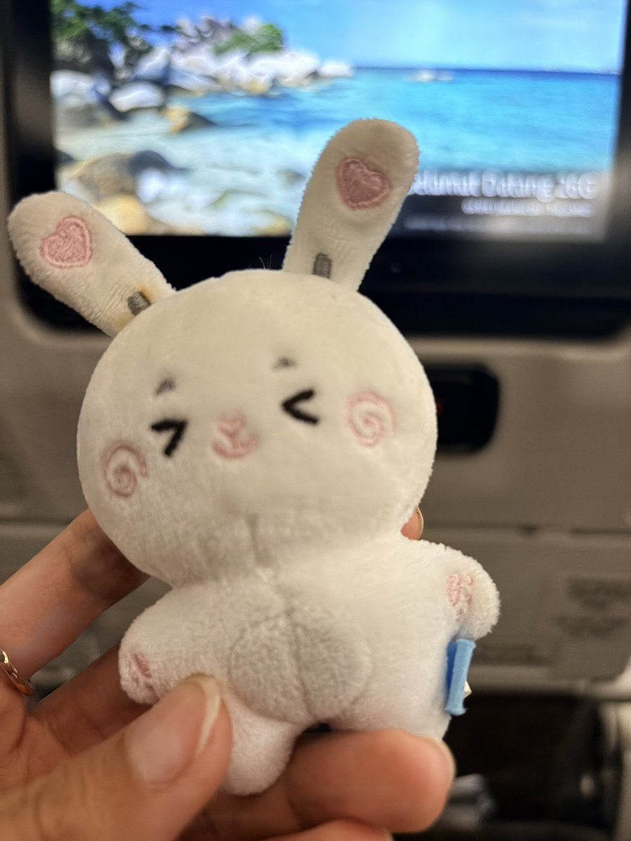 Good night priti ✨🐰💕