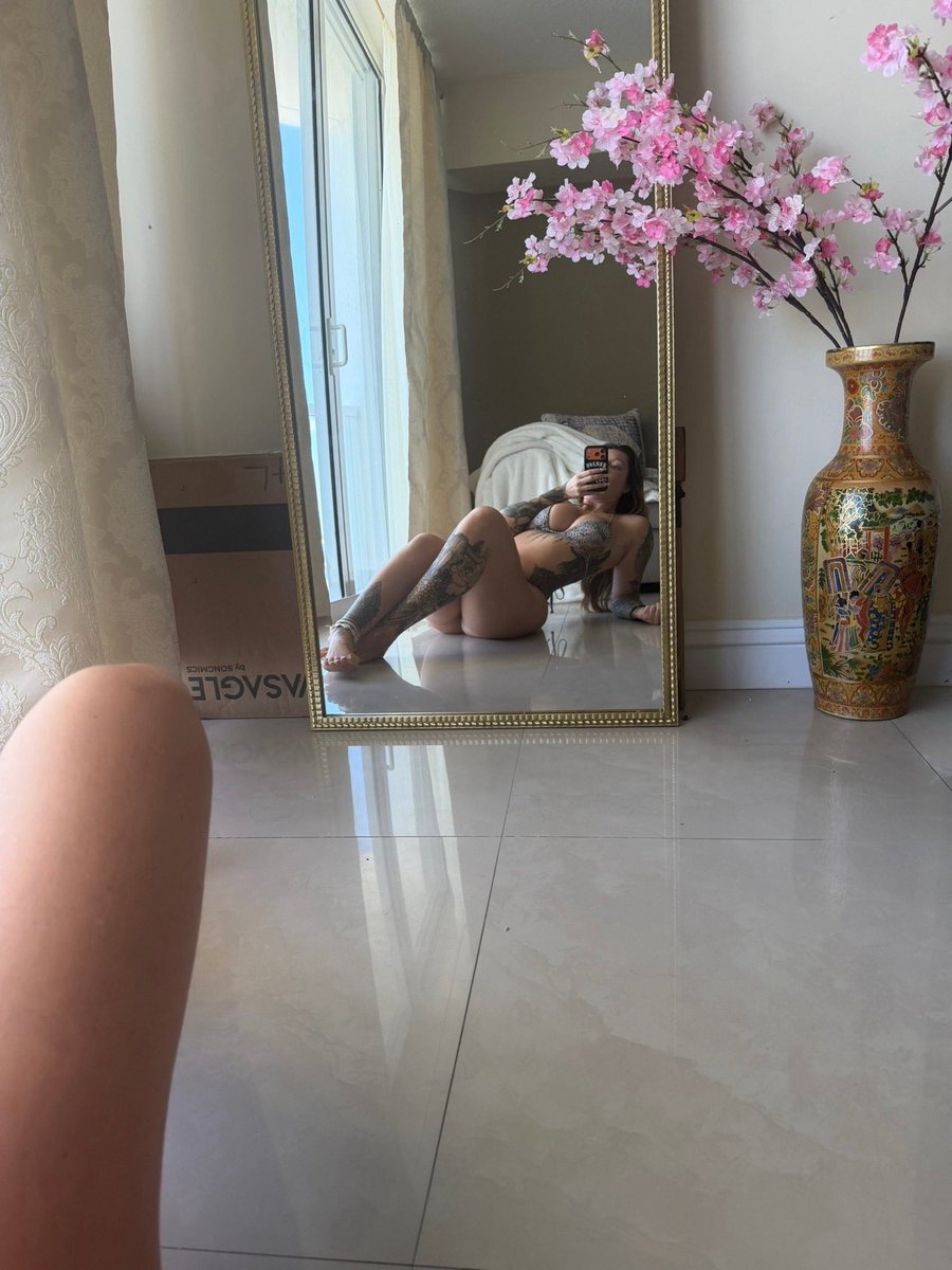 alicakes tweet media