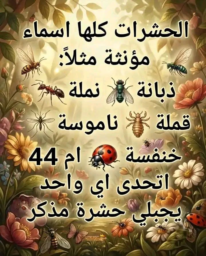 علي إسماعيل tweet media