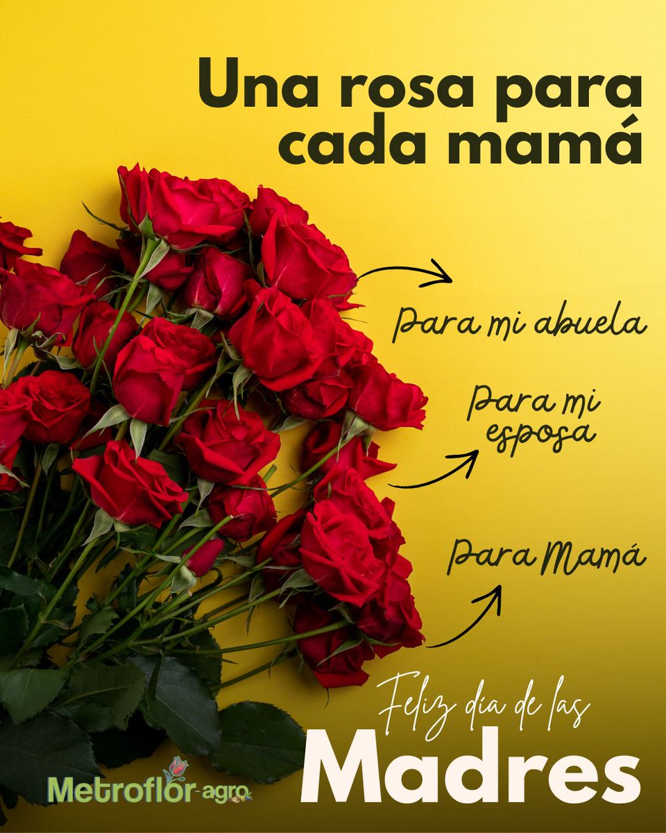RMetroflor's tweet photo. Hoy celebramos a las mamás que también son abuelas, esposas, hijas, tías, empresarias y floricultoras 🌷

Mujeres que con amor, esfuerzo y dedicación hacen florecer la vida cada día.

#FelizDíadelaMadre 💐 https://t.co/7T4a708Kv9