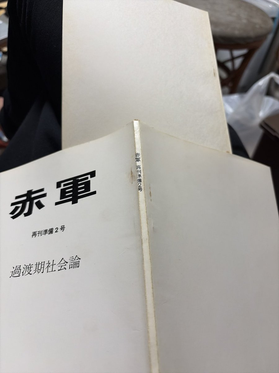 たろうページ 20 Inch Chainsaw Guide Bar For 30030019221 | 8TEN