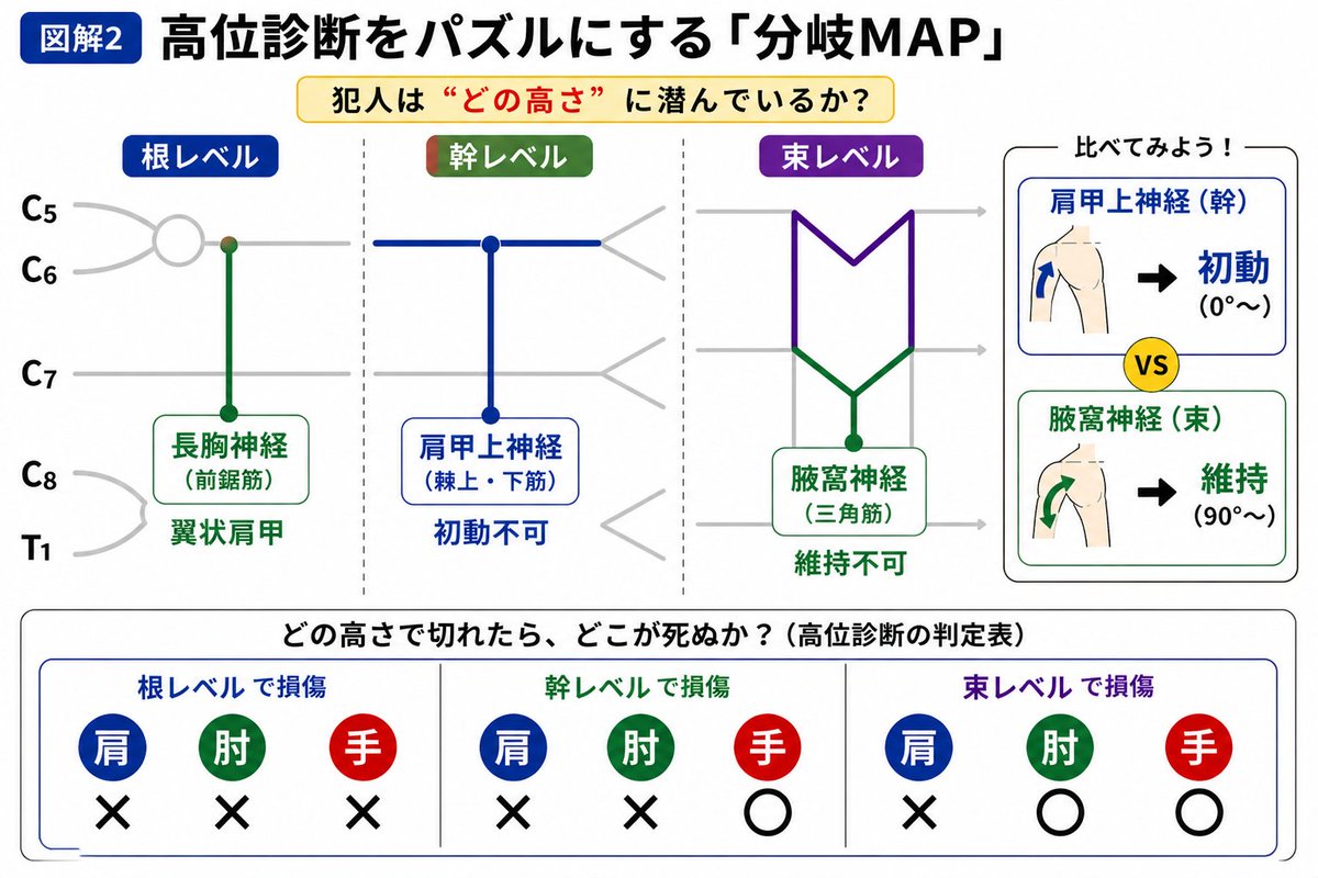 理学療法士・作業療法士 国家試験対策（浪人専門）｜国試リハビリ