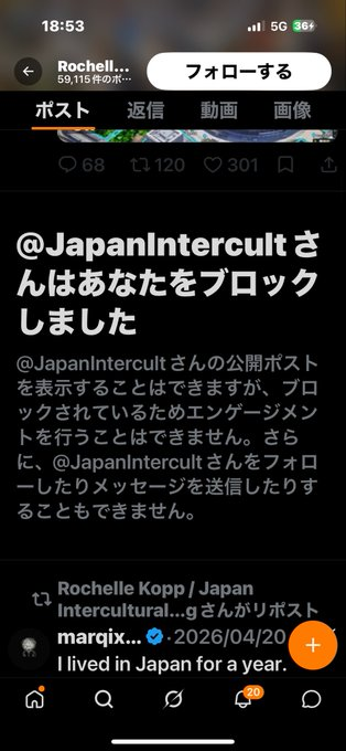 Kumashun🇯🇵🐻💎 tweet media