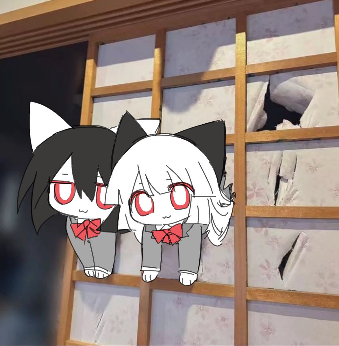 白色黑貓 tweet media