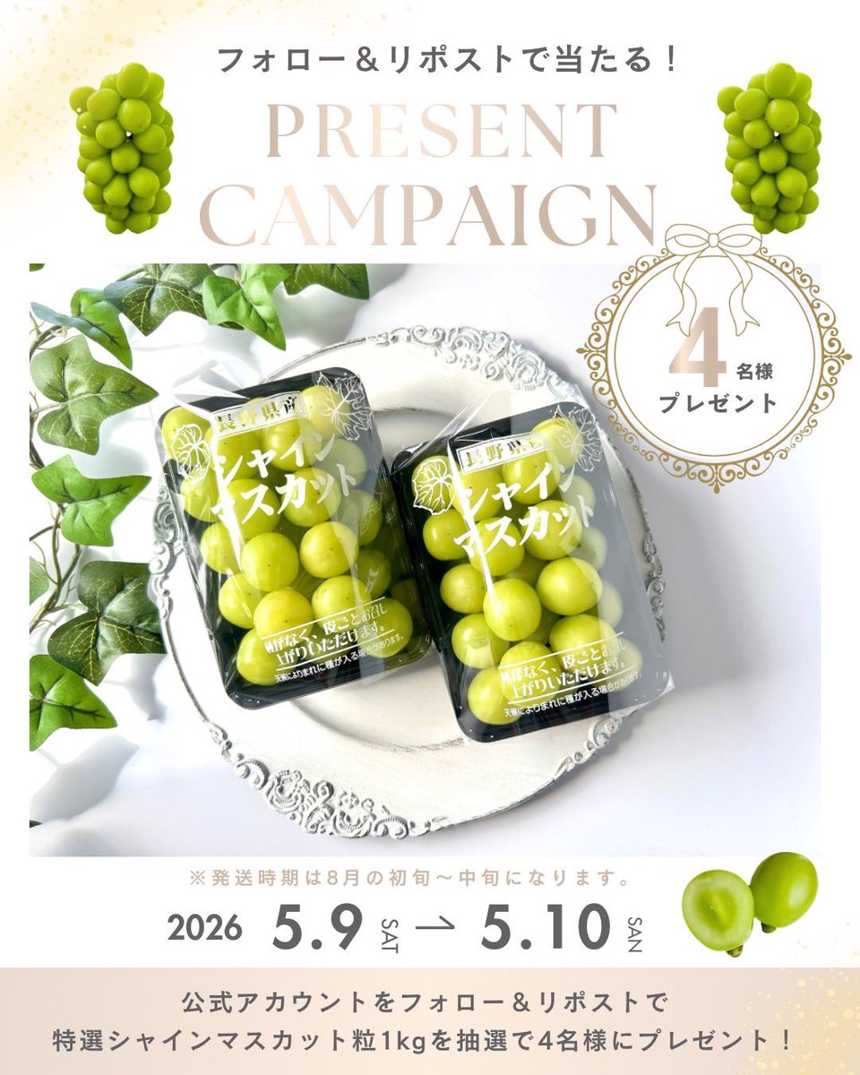 🍇💎信州須坂 ぶどうの宝石箱💎伊藤ぶどうファーム3代目🍇エース🍇 tweet media