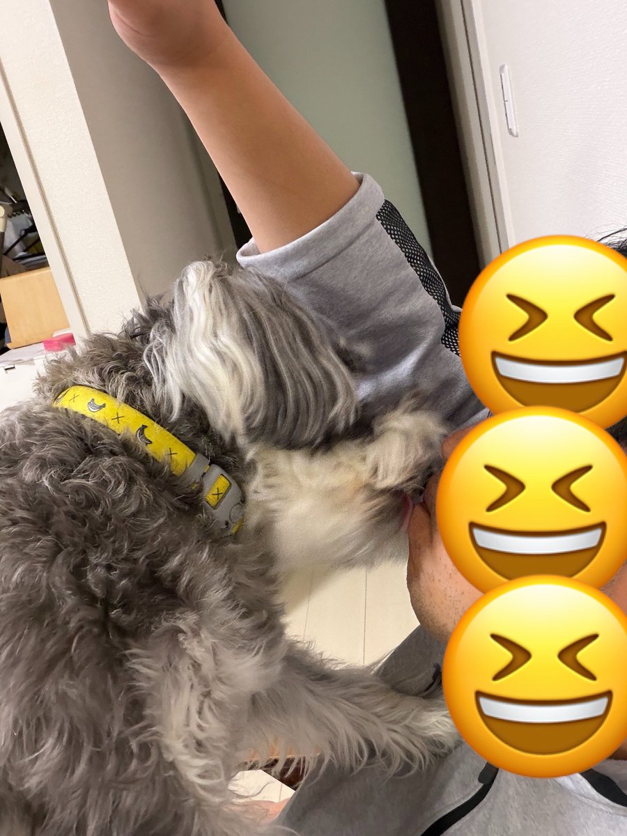 PHanashi's tweet photo. 熱烈チッスが止まらない💦 https://t.co/EdwRuqWfKP