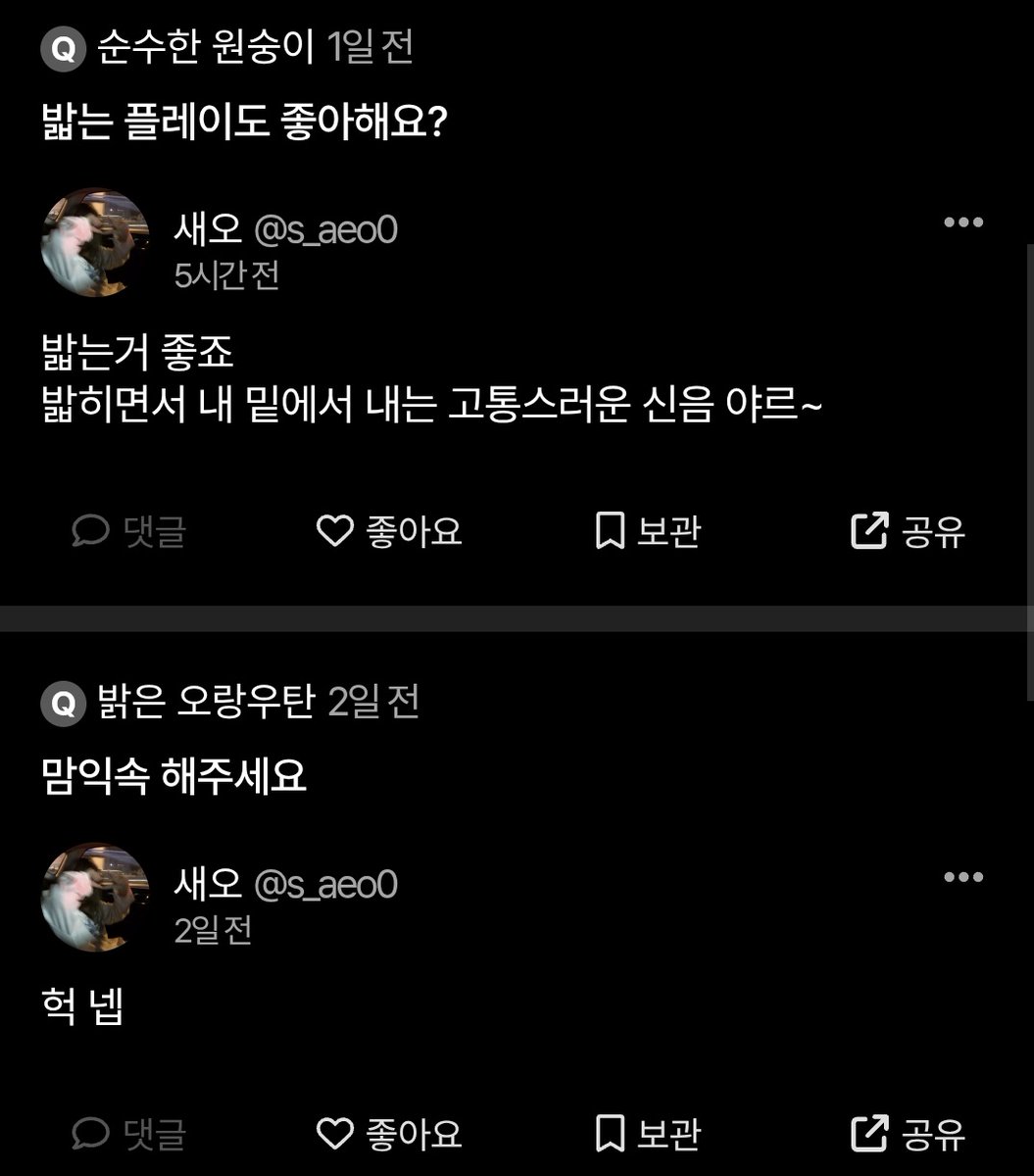 새오 tweet media