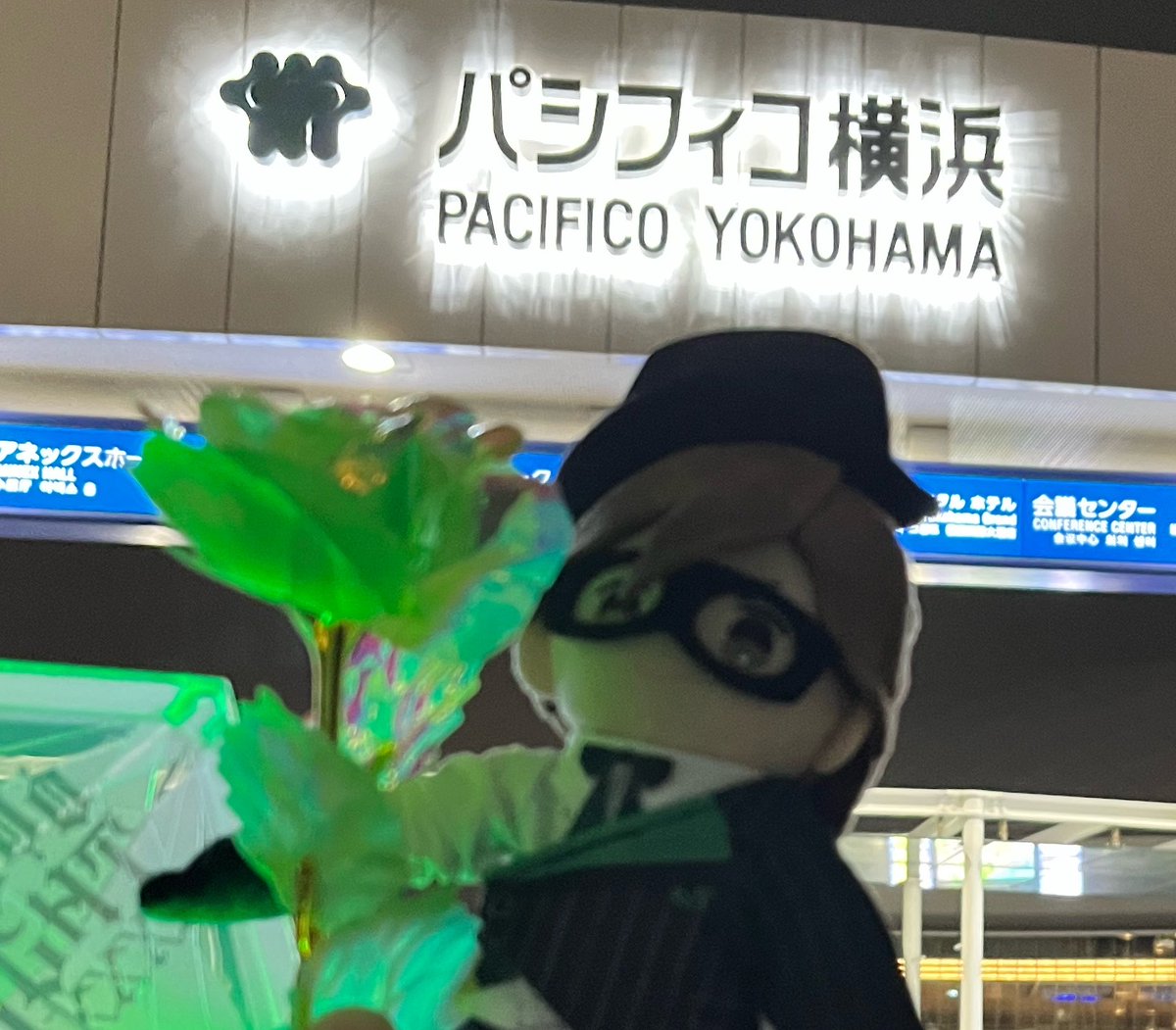 とみん(ツィフィ必読) tweet media
