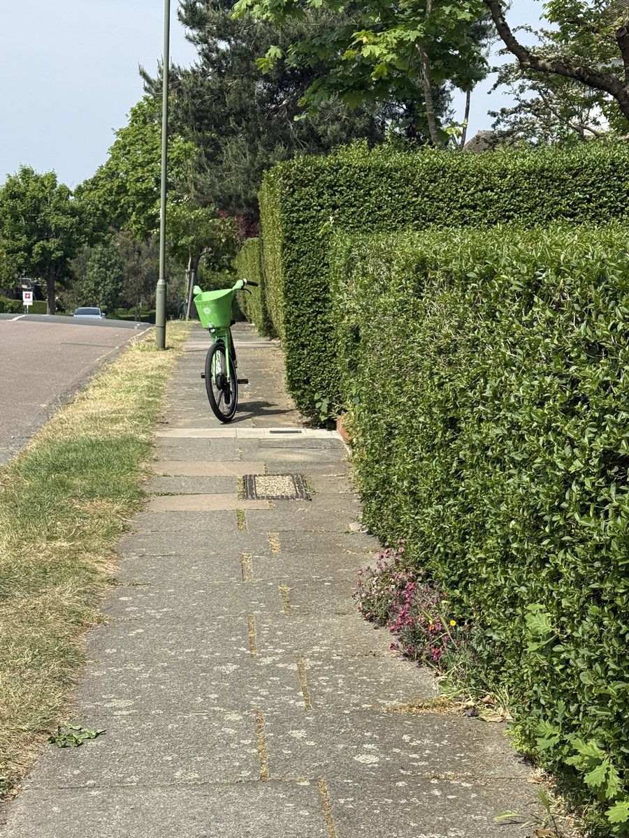 MarkBerelowitz's tweet photo. @_LimeAID another lime bike perfectly blocking the pavement on Brim Hill London n2 today https://t.co/Vox3pfgJMp