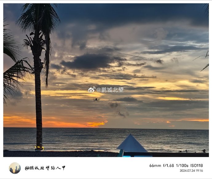 Amy Wang tweet media
