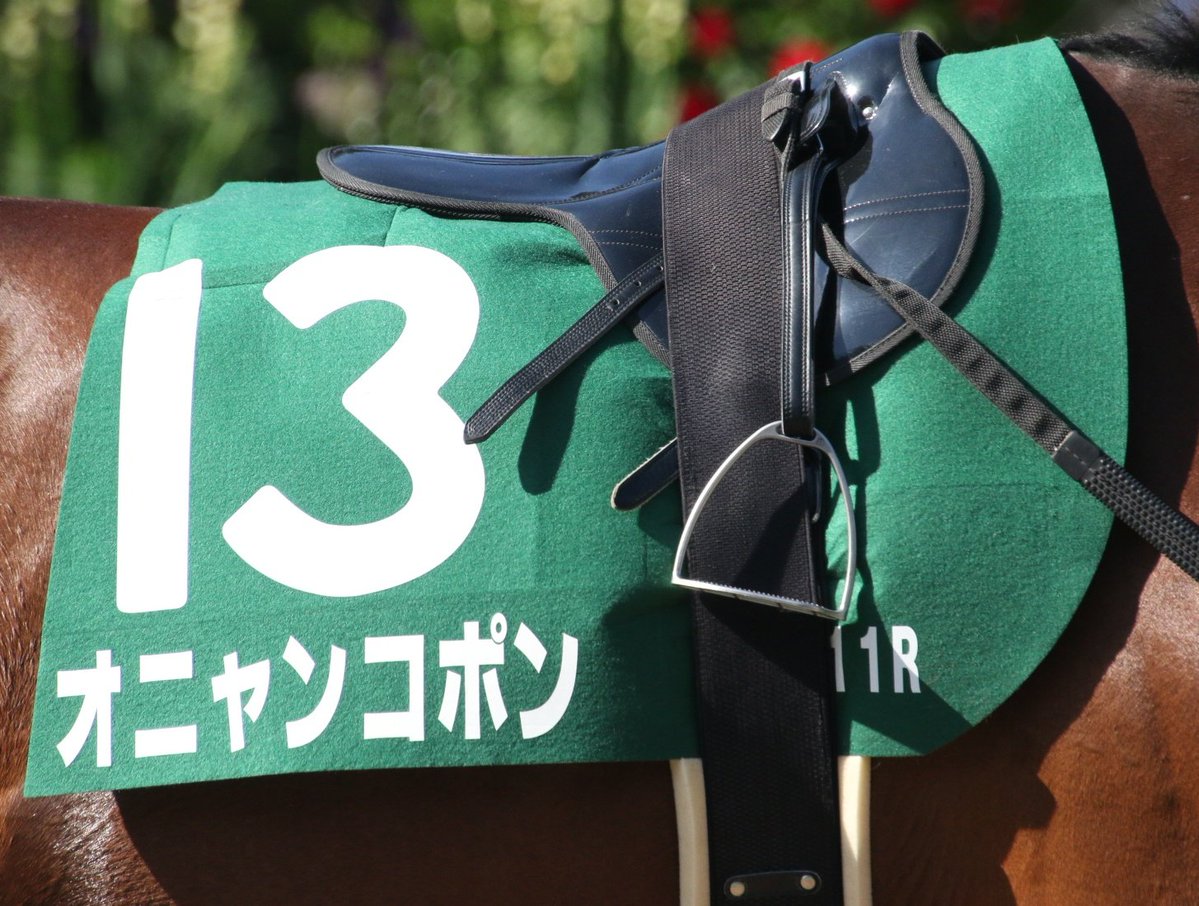 ウオッカちゃん レース見直したら悔しいなぁ、、何とか勝てなかったかな