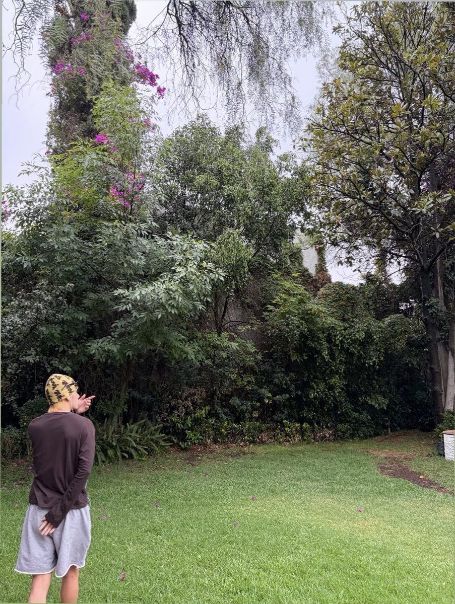 BTS Updates & Translations tweet media