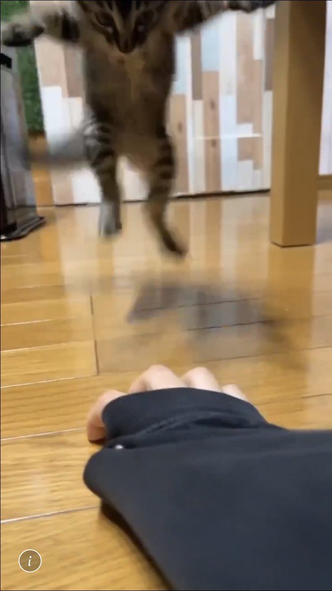 みこ🐈‍⬛5/23-24 デザフェス tweet media