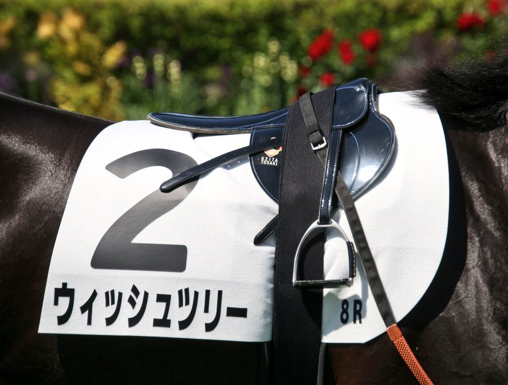 レース見直したら悔しいなぁ、、何とか勝てなかったかな